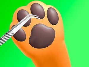 Paw Care: Pet Hospital Simulator