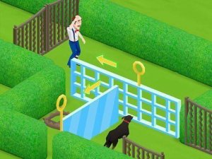 Homescapes Adventure Puzzle Game