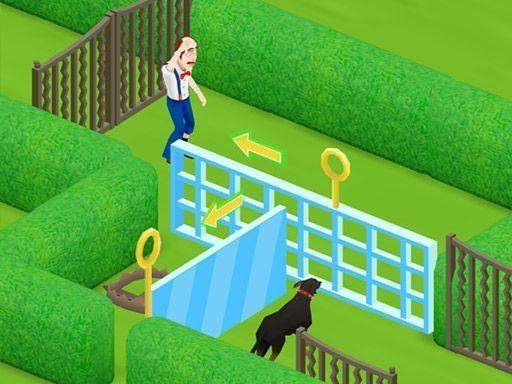 Homescapes Door Puzzle Adventure