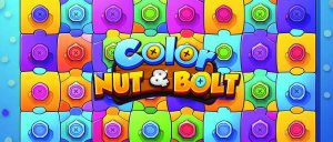 Color Nuts & Bolts Puzzle Game