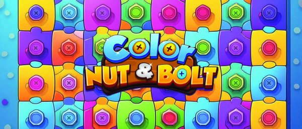 Color Nuts & Bolts Puzzle