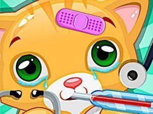 Doctor Pets: Cat Hospital Game