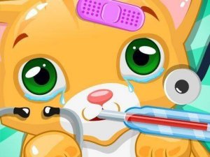 Kitty Doctor Pet Care Game