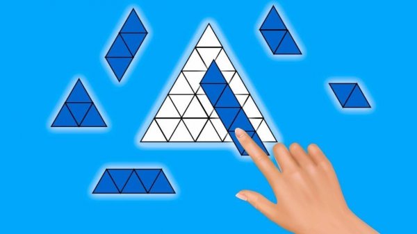 Puzzle Blocks: Shape Fitting Game