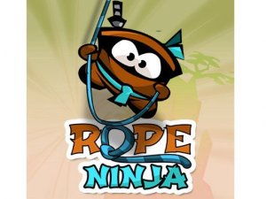 Ninja Swing Action
