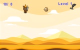 Hungry King Bird Catching Adventure