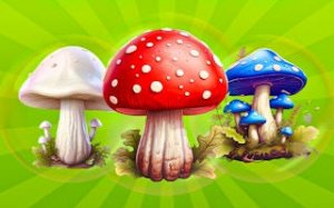 Mushroom Merge Puzzle