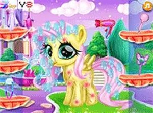 Horse Grooming and Style Studio